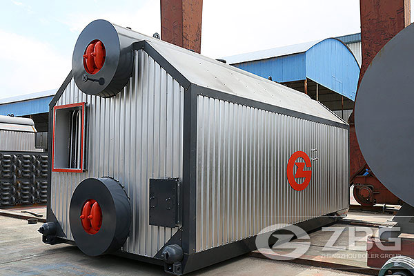 6 ton biomass fired boiler to Indonesia