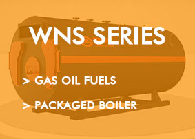 WNS series Gas Oil Fired Boiler Exhibition