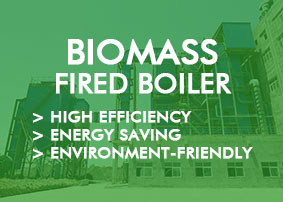 Biomass Fired(Solid Fuel) Boiler