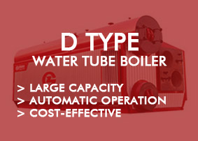 Gas & Oil Water Tube type boiler