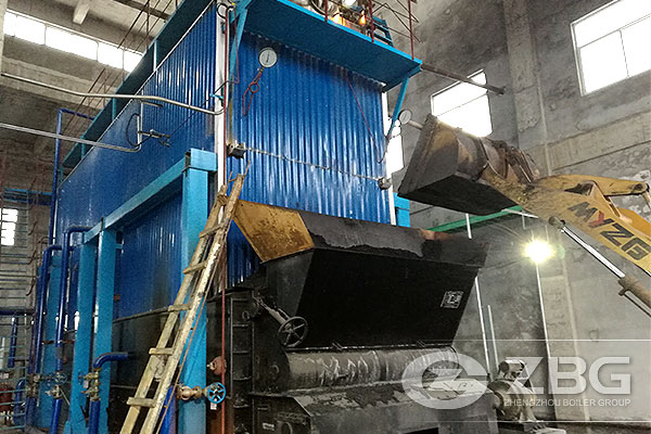 solid fuel coal and biomass boiler