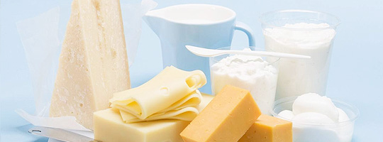 Dairy products manufacturing industry